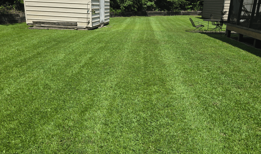 Mowjo Lawns & Pressure Washing